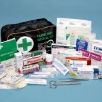 Picture of travellers medical kit contents 