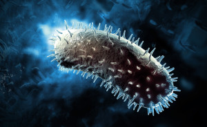 digital illustration of rabies virus 