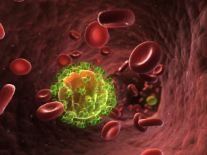 HIV in bloodstream