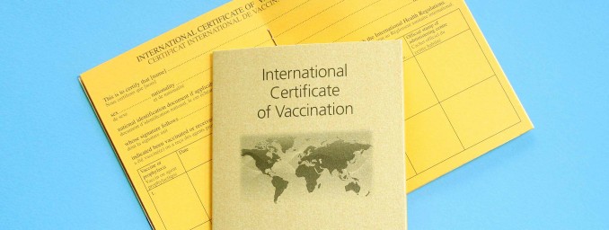 picture of vaccination book