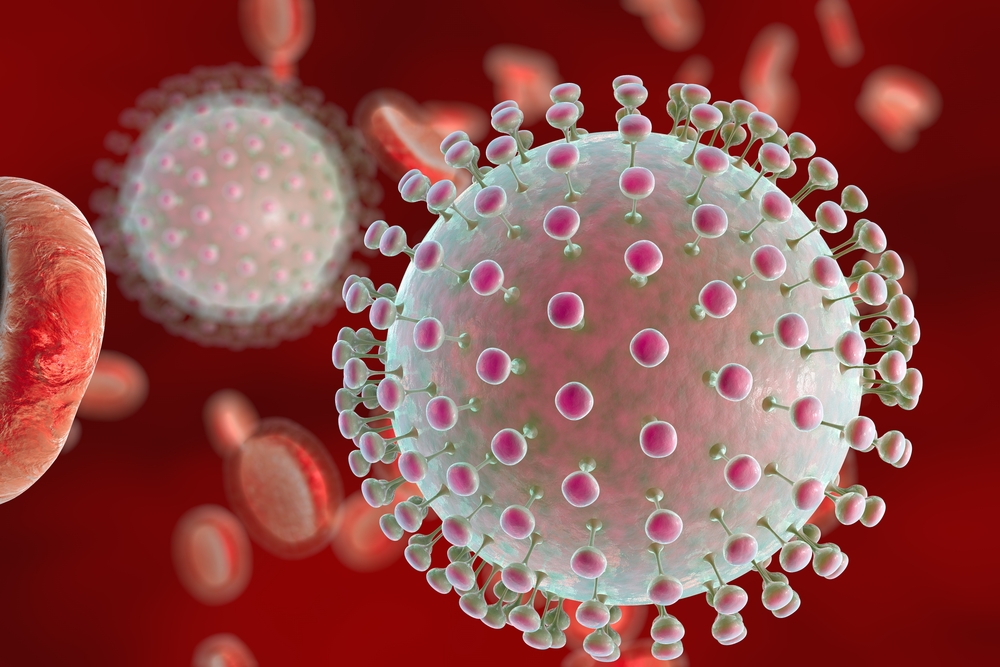 Zika in Bali Dr Deb The Travel Doctor